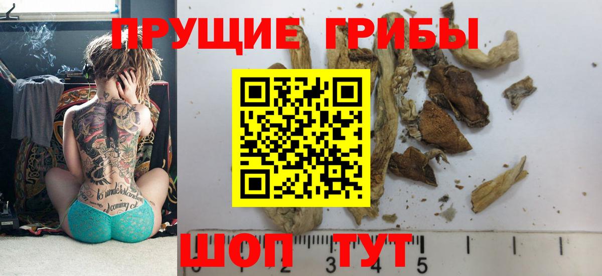 Кушва  Псилоцибиновые грибы MAGIC MUSHROOMS  Вход с VPN 